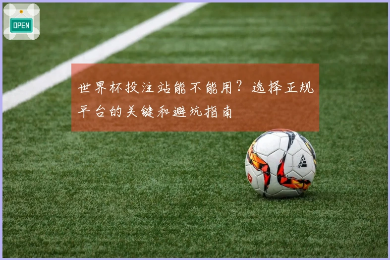 世界杯投注站能不能用？选择正规平台的关键和避坑指南
