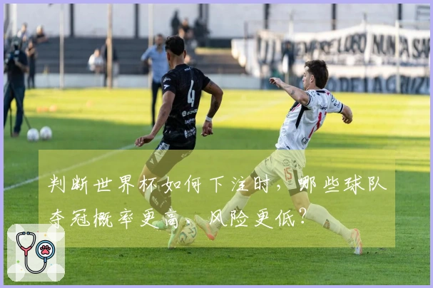 判断世界杯如何下注时，哪些球队夺冠概率更高、风险更低？