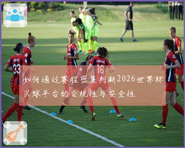 如何通过赛程密集判断2026世界杯买球平台的合规性与安全性